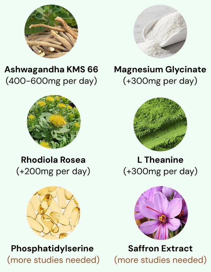 Clinically studied cortisol-support ingredients